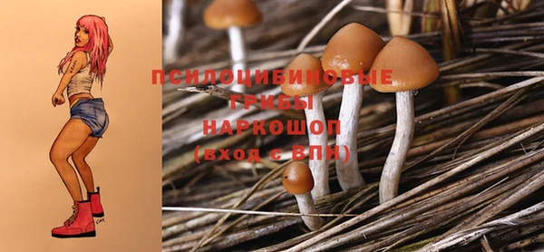 герыч Алзамай