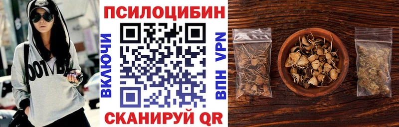 Псилоцибиновые грибы мицелий  Чебоксары 
